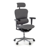 Silla Ergonómica Ergohuman V2, asiento tapizado, estructura negra