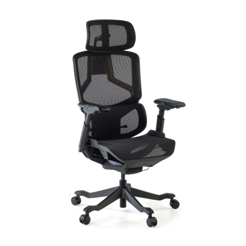 Silla de Oficina Ergon&oacute;mica AeroMax doble soporte lumbar