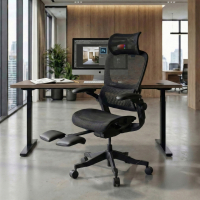 Silla Ergonómica con Reposacabezas Erghos X1, homologada