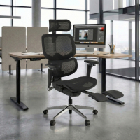 Silla de oficina Ergonómica Erghos X2, soporte lumbar flexible