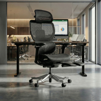 Silla de oficina Ergonómica...