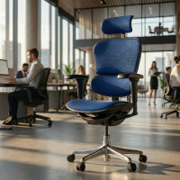 Silla Ergohuman ultra,...