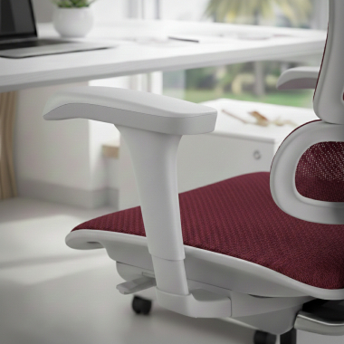 Soporte Lumbar
