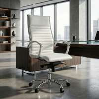Sillón de dirección...