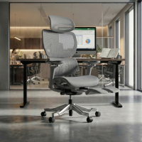 Silla de oficina Ergonómica...