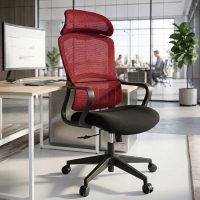 Silla de Escritorio Ergonómica Nebula, cojin lumbar