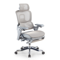 Silla de oficina ergonómica...