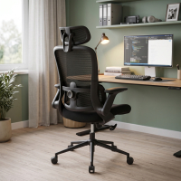 Silla de escritorio ergonomica Dexter, soporte lumbar, brazos abatibles