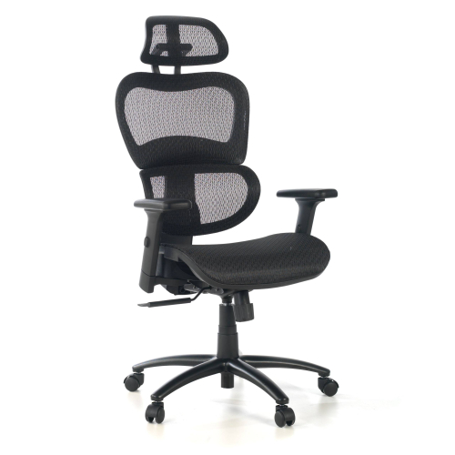 Silla Ergon&oacute;mica Ergocity, cojin lumbar, brazos 3D