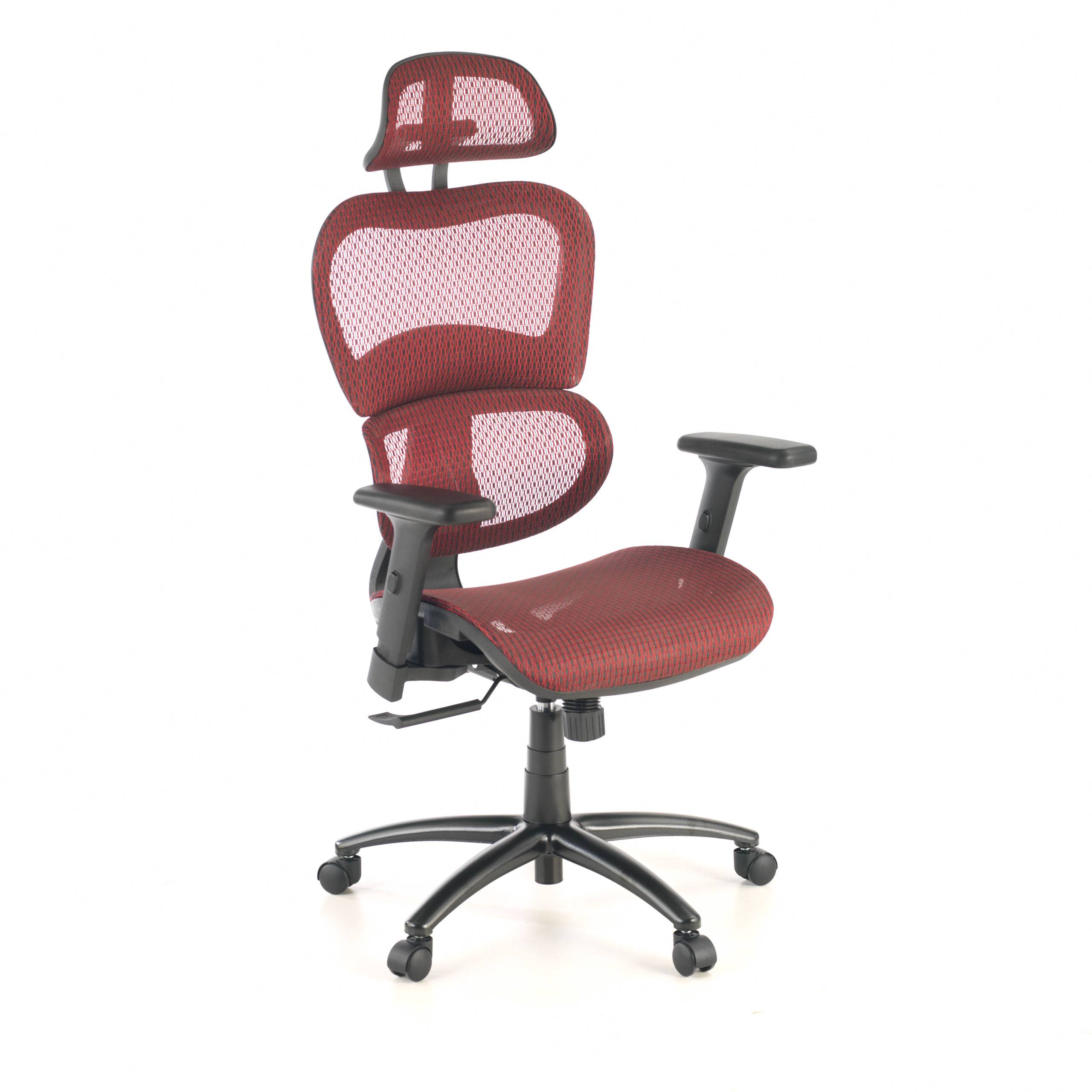 Silla Ergonómica Ergocity, cojin lumbar, brazos 3D