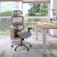 Silla Ergonómica Ergocity, cojin lumbar, brazos 3D