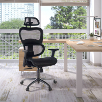 Silla Ergonómica Ergocity, cojin lumbar, brazos 3D