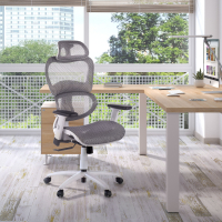 Silla Ergonómica Ergocity white, cojin lumbar, brazos 3D