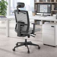 Silla de oficina ergonómica Akira con reposacabezas