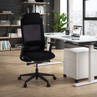 Silla de Oficina Ergonómica Intouch black, Totalmente Ajustable