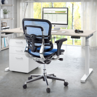 Silla ergonómica Ergohuman, modelo premium, aluminio, red