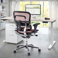 Silla ergonómica Ergohuman, modelo premium, aluminio, red