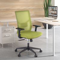 Silla de Oficina Ergonómica Verdi, brazos ajustables, soporte lumbar,