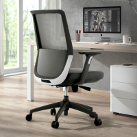Silla de oficina profesional Five, red, cojin lumbar, Totalmente Ajustable