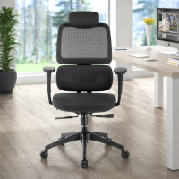 Silla Ergonómica Bjorg, premium, doble cojin lumbar