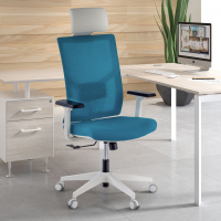 Silla de Escritorio Ergonómica Verdi white con reposacabezas, brazos ajustables