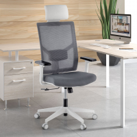 Silla de Escritorio Ergonómica Verdi white con reposacabezas, brazos ajustables