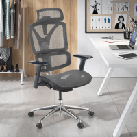Silla Ergonómica Focus, Estructura aluminio, Respaldo Ajustable