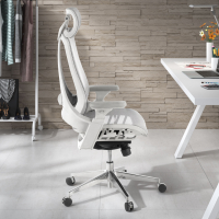 Silla Ergonómica Thunder, modelo premium, red