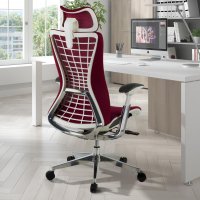 Silla Ergonómica Profesional Miller, brazos 3D, red