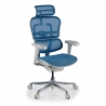 Silla ergonómica ejecutiva Ergohuman Edition I, estructura negra