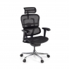 Silla ergonómica ejecutiva Ergohuman Edition I, estructura negra