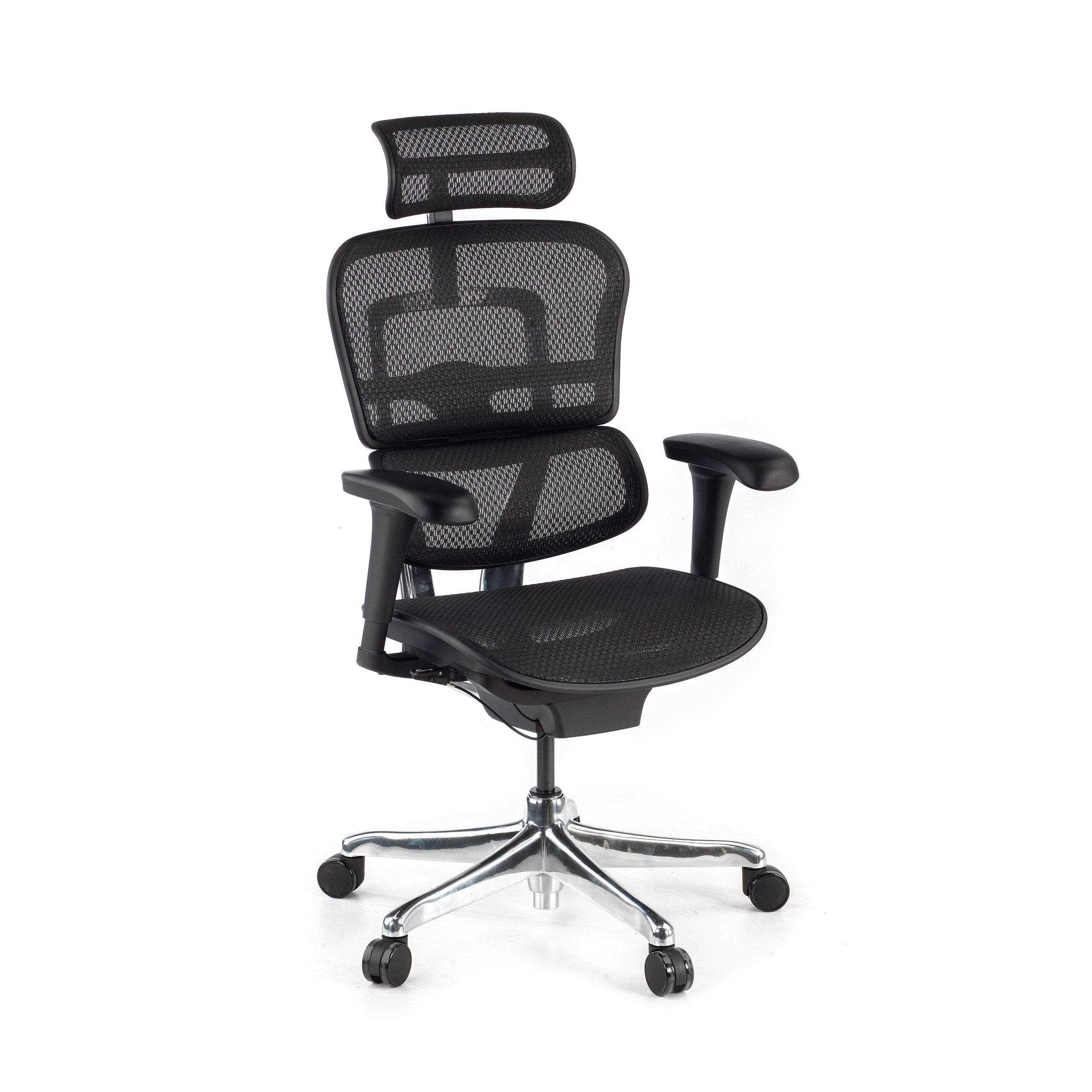 Silla ergonómica ejecutiva Ergohuman Edition I, estructura negra