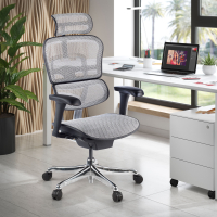 Silla ergonómica ejecutiva Ergohuman Edition I, estructura negra