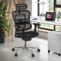 Silla ergonómica ejecutiva Ergohuman Edition I, estructura negra