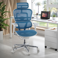 Silla ergonómica ejecutiva Ergohuman Edition I, estructura blanca