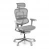 Silla Ergonómica Ergohuman Elite, piel natural