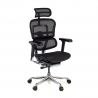 Silla ergonómica ejecutiva Ergohuman Elite, estructura negra