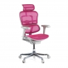 Silla ergonómica ejecutiva Ergohuman Edition I, estructura negra