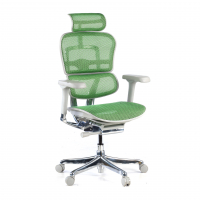 Blanco/Verde