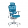 Silla Ergonómica Ergohuman Elite, piel natural