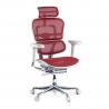 Silla Ergonómica Ergohuman Elite, piel natural