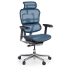 Silla ergonómica ejecutiva Ergohuman Elite, estructura negra