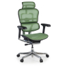 Silla ergonómica ejecutiva Ergohuman Elite, estructura negra