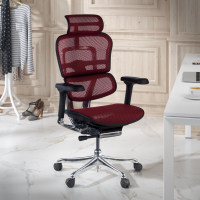 Silla ergonómica ejecutiva Ergohuman Elite, estructura negra
