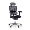 Silla ergonómica ejecutiva Ergohuman Edition I, estructura negra