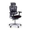 Silla Ergonómica Ergohuman Elite, piel natural