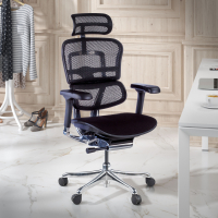 Silla Ergonómica Ergohuman Elite, asiento tapizado, estructura negra