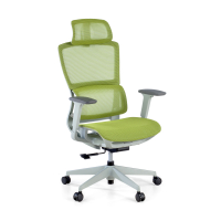 Blanco/Verde