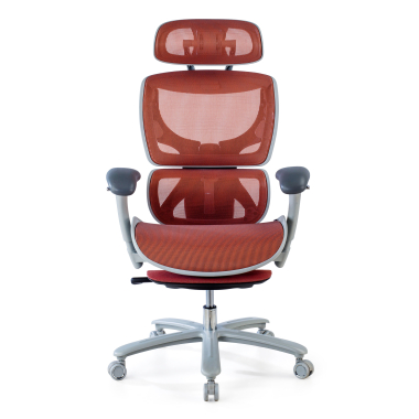 Soporte Lumbar