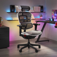 Silla Ergohuman Ultra Gaming Edition Black Carbon